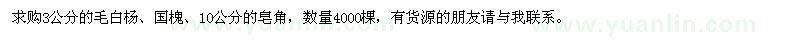 求購毛白楊,國槐,皂角