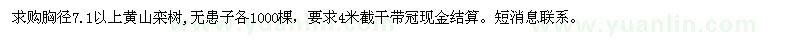 求購(gòu)胸徑7.1以上黃山欒樹,無患子各1000棵