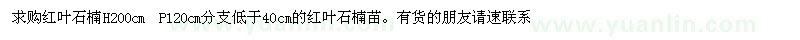 求購(gòu)紅葉石楠H200cm