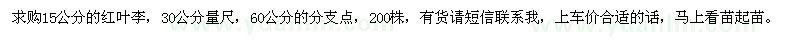 求購(gòu)紅葉李