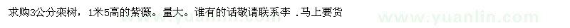 求購3公分欒樹