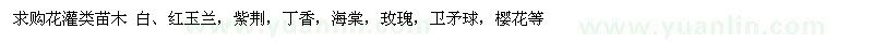 求購白、紅玉蘭
