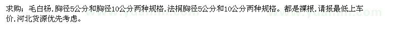 求購毛白楊.法桐
