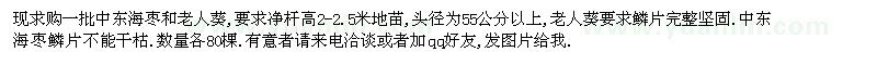 求購(gòu)中東海棗 老人葵