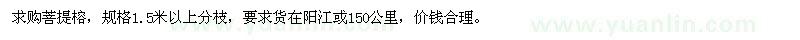 求購菩提榕