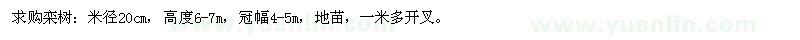 求購米徑20cm欒樹