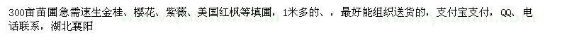 求購速生金桂,櫻花,紫薇,美國紅楓