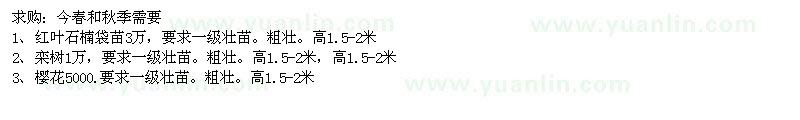 求購(gòu)紅葉石楠,欒樹,櫻花等填圃壯苗