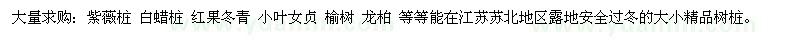 求購造型景觀樹