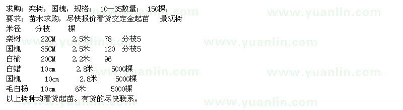 求購(gòu)欒樹(shù)、國(guó)槐、白榆、白蠟、國(guó)槐