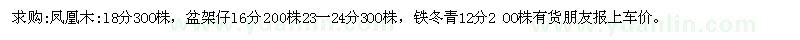 求購鳳凰木，盆架仔，鐵冬青。地苗