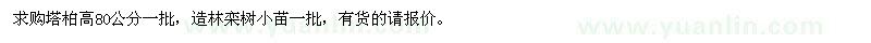 求購塔柏高80公分 造林欒樹小苗