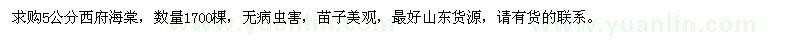 求購(gòu)5公分西府海棠1700棵