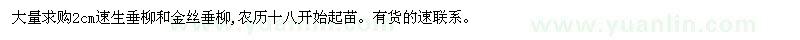 求購(gòu)2cm速生垂柳和金絲垂柳