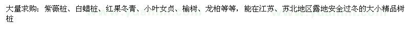 求購造型景觀樹紫薇樁、白蠟樁、紅果冬青