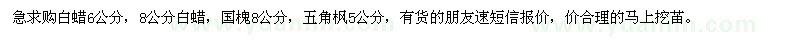 求購白蠟、五角楓、國槐