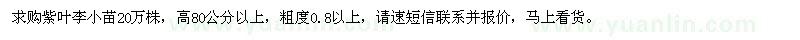 求購(gòu)紫葉李小苗