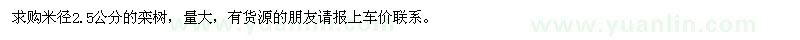 求購(gòu)米徑2.5公分的欒樹(shù)