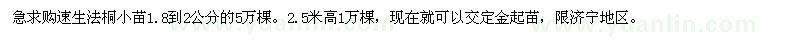 求購法桐小苗