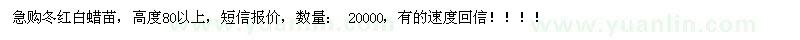 求購(gòu)美國(guó)冬紅白蠟