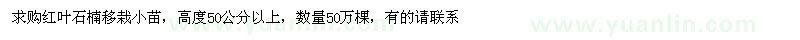 求購(gòu)紅葉石楠小苗