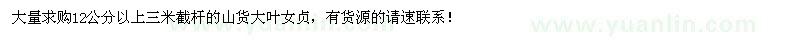求購12公分以上的大葉女貞