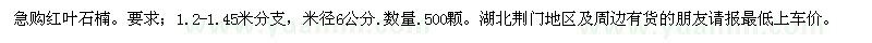求購紅葉石楠