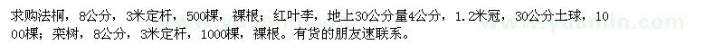 求購法桐,紅葉李,欒樹