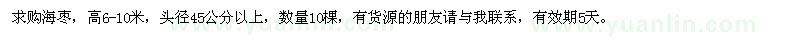 求購海棗，高6-10米