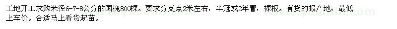 求購米徑6-7-8公分的國槐