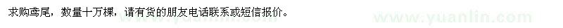 求購(gòu)鳶尾