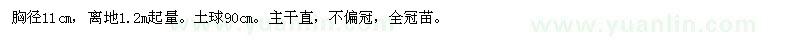 求購青岡櫟