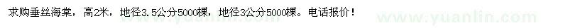 求購(gòu)垂絲海棠