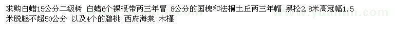 求購白蠟  國槐 法桐    黑松  木槿