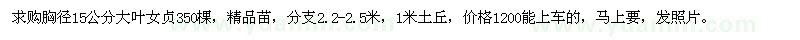 求購胸徑15公分大葉女貞