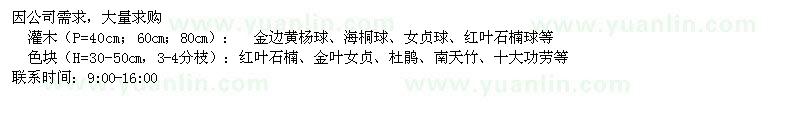 求購金邊黃楊球、海桐球、女貞球、紅葉石楠球等