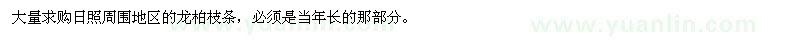 求購龍柏枝條
