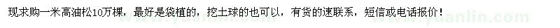 求購一米高的油松