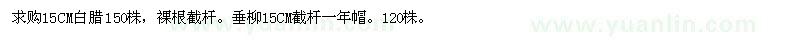 求購15CM白臘垂柳