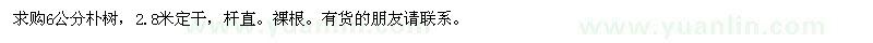 求購6公分樸樹