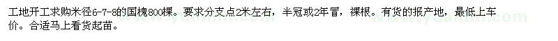 求購米徑6-7-8的國槐