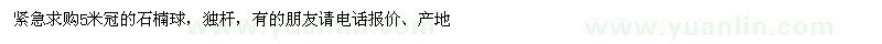 求購5米冠的石楠球