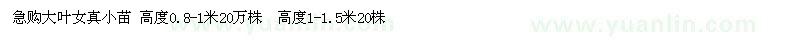 求購大葉女真小苗