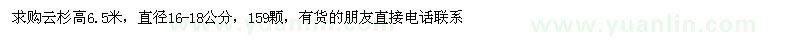 求購云杉高6.5米