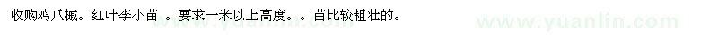 求購雞爪槭。紅葉李小苗