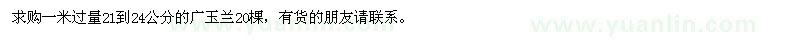 求購(gòu)一米過(guò)量21到24公分的廣玉蘭