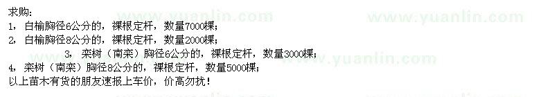 求購(gòu)白榆、欒樹(shù)、（南欒）