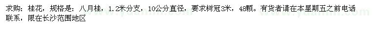 求購10公分直徑的桂花