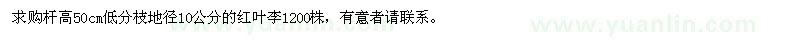 求購地徑10公分紅葉李1200株