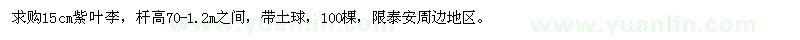 求購(gòu)15cm紫葉李